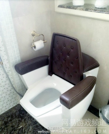 日本的卫洗丽啥的简直弱爆了，厕所王座！