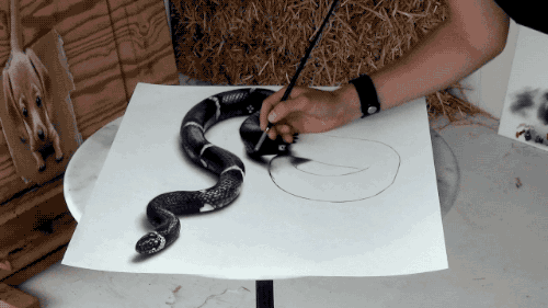 画师的3D蛇，太逼真了，鸡皮疙瘩已起（2）