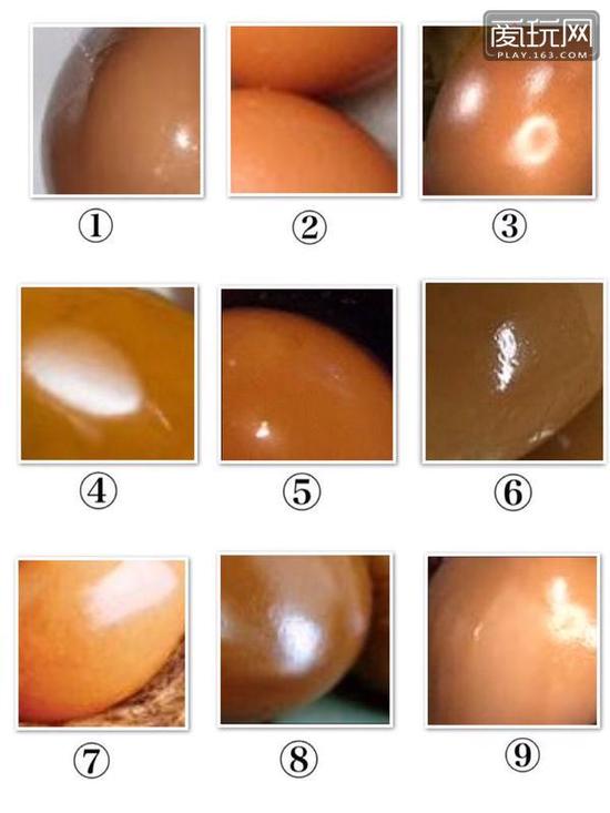 卤蛋与翘臀傻傻分不清楚系列（1）：哪几号是蛋？哪几号是臀？