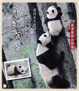 【熊猫淘淘】大熊猫纪录片(高清熊猫养成计划)下载