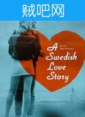 【瑞典爱情故事】北欧爱情故事