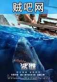 【鲨滩】高分鲨鱼海滩BD双语字幕