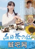 【向日葵之丘1983年夏】日本文艺电影/向日葵的夏天