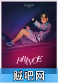 【衰小王子】荷兰非主流/Prince另类玩酷青春